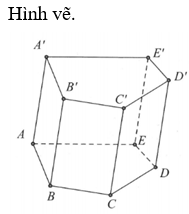 Khối lăng trụ ngũ giác có tất cả bao nhiêu cạnh?