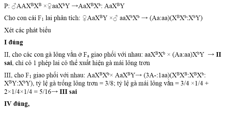 Ở ruồi giấm, gen A quy định thân xám là trội hoàn toàn so với alen a quy đinh thân đen, gen B quy định cánh dài là trội hoàn toàn so với alen b quy định cánh cụt. Gen D quy định mắt đỏ là trội hoàn toàn so với alen d quy định mắt trắng. Gen quy định màu măt nằm trên NST giới tính X, không có alen tương ứng trên Y. Phép lai: ♀ABabXDXd×ABabXDY ♂, cho F<sub>1</sub> có kiểu hình thân xám, cánh cụt, mắt đỏ chiếm tỉ lệ 3,75%. Trong các kết luận sau đây có bao nhiêu kêt luận đúng (1) Phép lai trên có 28 loại kiểu gen. (2) Có 12 loại kiểu hình (3) Tỉ lệ ruồi cái F<sub>1</sub> có kiểu hình thân đen, cánh cụt, mắt đỏ là 10 %. (4) Tần số hoán vị gen bằng 20%.