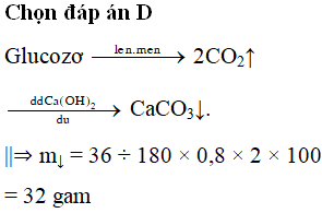 Cho 36 gam glucozơ lên men với hiệu suất 80%, toàn bộ lượng CO2 thu được sục vào dung dịch CaOH2 dư, thu được kết tủa có khối lượng là: