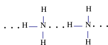 Trong dung dịch NH<sub>3</sub> (hỗn hợp NH<sub>3</sub> và H<sub>2</sub>O) tồn tại số loại liên kết hydrogen là