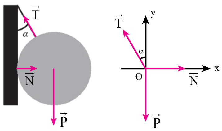 Một quả cầu có trọng lượng P = 40 N được treo vào tường nhờ một sợi dây hợp với mặt tường một góc α = 30° như Hình 14.2. Bỏ qua ma sát ở chỗ tiếp xúc giữa quả cầu và tường. Phản lực do tường tác dụng lên quả cầu có độ lớn gần nhất với giá trị nào dưới đây?