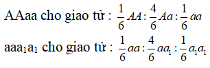 Ở một loài thực vật, tính trạng màu hoa do một gen có 3 alen là A, a, a<sub>1</sub> có quan hệ trội lặn hoàn toàn quy định (A quy định hoa màu vàng > a quy định hoa màu xanh > a<sub>1</sub> quy định hoa màu trắng). Giả sử các cây 4n giảm phân tạo ra các giao tử 2n có khả năng thụ tinh bình thường. Thực hiện phép lai giữa hai thể tứ bội P: AAaa × aaa<sub>1</sub>a<sub>1</sub> được F<sub>1</sub>. Phát biểu nào sau đây không đúng về đời F<sub>1</sub>?