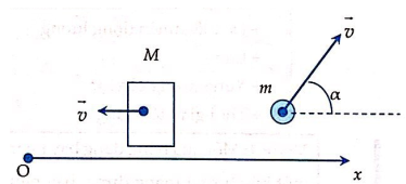 Một xe tăng, khối lượng tổng cộng M=10 tấn, trên xe có gắn súng nòng súng hợp một góc α=60∘ theo phương ngang hướng lên trên. Khi súng bắn một viên đạn có khối lượng m=5kg hướng dọc theo nòng súng thì xe giật lùi theo phương ngang với vận tốc 0,02 m/s biết ban đầu xe đứng yên, bỏ qua ma sát. Tốc độ của viên đạn lúc rời nòng súng bằng