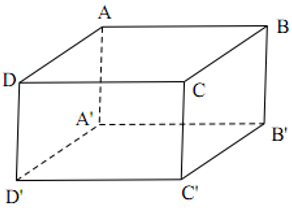 Cho hình hộp chữ nhật ABCD.A'B'C'D'. Chọn phát biểu đúng?