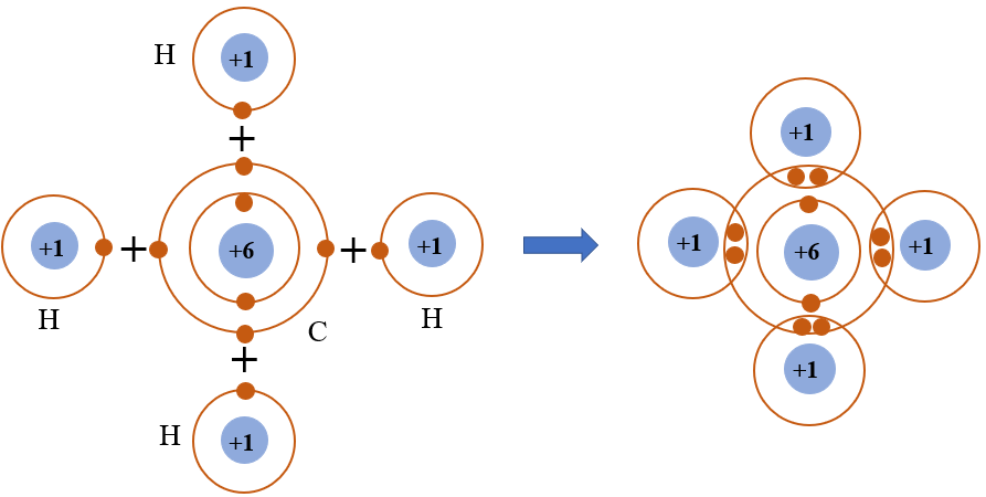 Phân tử methane gồm một nguyên tử carbon liên kết với bốn nguyên tử hydrogen. Khi hình thành liên kết cộng hóa trị trong methane, nguyên tử carbon góp chung bao nhiêu electron với mỗi nguyên tử hygrogen?