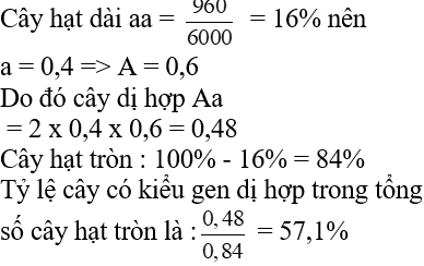 Ở một loài thực vật, gen A quy định hạt tròn là trội hoàn toàn so với alen a quy định hạt dài.Một quần thể đang ở trạng thái cân bằng di truyền gồm 6000 cây trong đó có 960 cây hạt dài. Tỉ lệ cây hạt tròn có kiểu gen dị hợp trong tổng số cây hạt tròn của quần thể này là