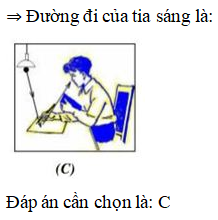 Một học sinh đang đọc sách. Hình nào sau đây mô tả đúng đường đi của tia sáng?