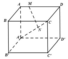 Cho hình hộp ABCD.A'B'C'D', MN là các điểm thỏa MA→=−14MD→, NA'→=−23NC→. Mệnh đề nào sau đây đúng ?