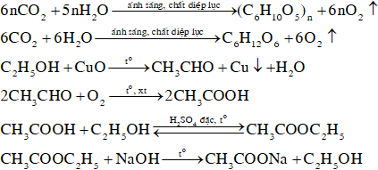 Cho sơ đồ chuyển đổi sau (E, Q, X, Y, Z là hợp chất hữu cơ, mỗi mũi tên biểu thị một phản ứng hoá học) Công thức của E, Q, X, Y, Z phù hợp với sơ đồ trên lần lượt là