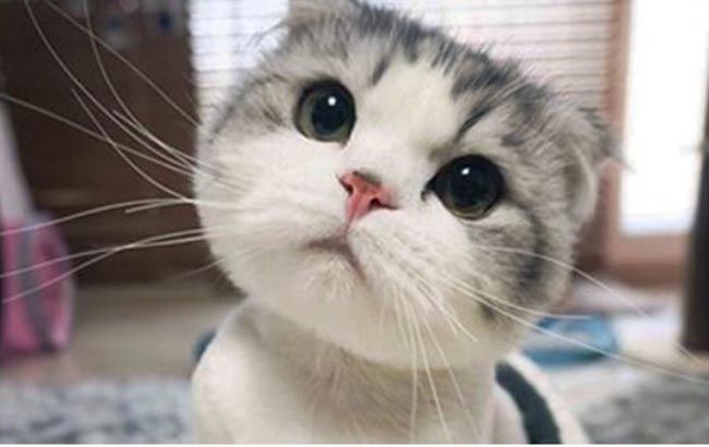 Chúc bạn ngày mới tốt lành!!! Chúc bạn ngày mới tốt lành!!!